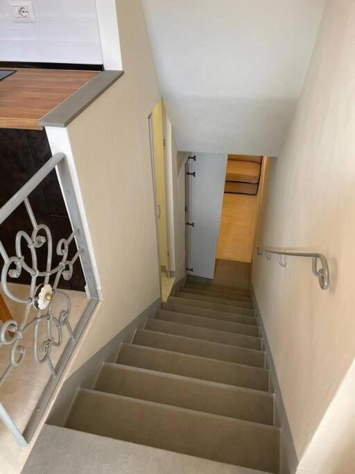 Bellaflo: Small In The Center Of Florencia